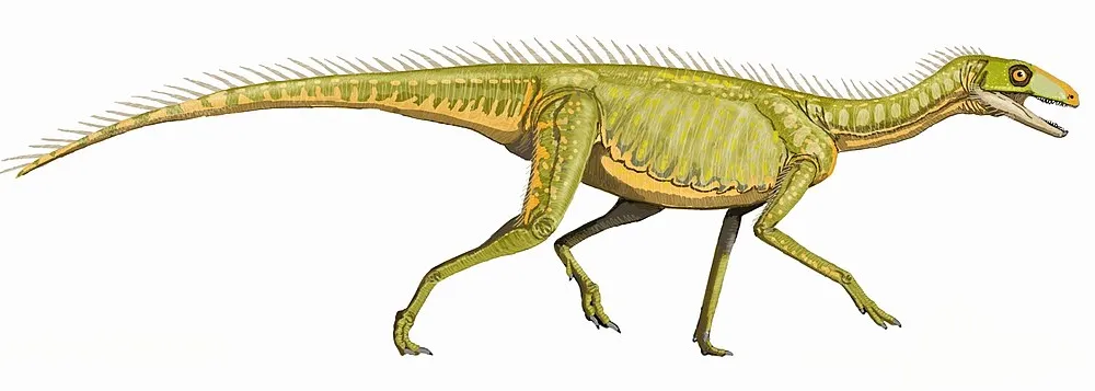 Silesaurus illustration