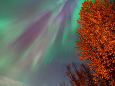 The northern lights, seen from Alaska on October 7, 2024